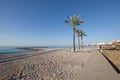 Beach in Benicassim with wooden walkway and palm trees Royalty Free Stock Photo