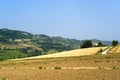 Landscape in Emilia Romagna (Italy) at summer Royalty Free Stock Photo
