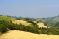 Landscape in Emilia-Romagna (Italy) at summer Royalty Free Stock Photo