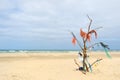 Landscape empty beach with rubbish tree Royalty Free Stock Photo