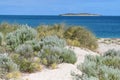 Landscape of empty sand dune with coastal vegetation against the Indian Ocean