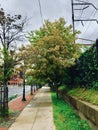 The empty streets of Wilmington, Delaware