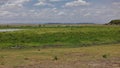 The landscape of the endless African savanna.