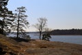 Landscape of Espoo, Finland during Spring - Baltic Sea, Trees and Big Rocks Royalty Free Stock Photo