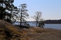 Landscape of Espoo, Finland during Spring - Baltic Sea, Trees and Big Rocks Royalty Free Stock Photo