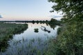 Etang or pond Ricot at reserve naturelle de chÃÂ©rine at natural Royalty Free Stock Photo