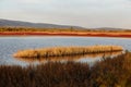 Landscape of Evros river in Greece. Royalty Free Stock Photo