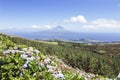 Landscape of Faial, Azores