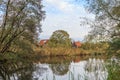 Landscape along the river Kromme Aar in the municipality of Alphen aan den Rijn