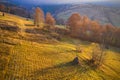 Landscape in the fall. Gentle sunrise with fog in the mountains. Yellow beautiful fields on the background of blue fog in the Royalty Free Stock Photo