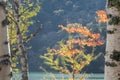 Landscape of fall season Nikko Japan