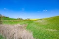Landscape with ravine with grass and meadowfoam, above a narrow strip of arable land with flowering rape and a wheat field Royalty Free Stock Photo