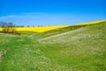 Landscape with with meadowfoam overgrown ravine, above a narrow strip of arable land with flowering rape and a wheat field Royalty Free Stock Photo