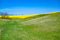 Landscape with with meadowfoam overgrown ravine, above a narrow strip of arable land with flowering rape and a wheat field