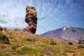 Landscape of the famous finger of god rock in the park of Teide in tenerife Royalty Free Stock Photo