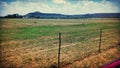 Landscape farming life karoo dry