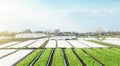 Landscape of farmland plantations covered with agrofiber. Agroindustry and agribusiness. Organic farming products in Europe.