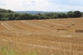 Landscape with farmland and woodland