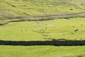 Landscape on the Faroe Islands