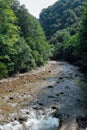 beautiful landscape fast mountain river and green forest