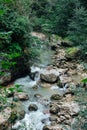 beautiful landscape fast mountain river and green forest