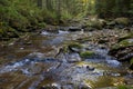 Leaf fall on fast forest mountain river at autumn. Carpathians. Ukraine Royalty Free Stock Photo