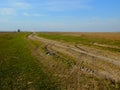 The landscape features an unpaved road amidst green fields under the blue sky Royalty Free Stock Photo