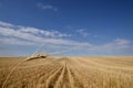 Harvested Grain Field Canadian Prairies Royalty Free Stock Photo