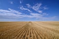 Harvested Grain Field Canadian Prairies Royalty Free Stock Photo