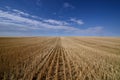 Harvested Grain Field Canadian Prairies Royalty Free Stock Photo