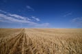 Harvested Grain Field Canadian Prairies Royalty Free Stock Photo