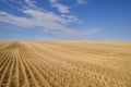 Harvested Grain Field Canadian Prairies Royalty Free Stock Photo