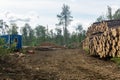 Landscape after felling - deforested land and stacks of logs Royalty Free Stock Photo