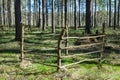 Green landscape fence wooden empty corral nature green forest summer