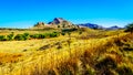 Landscape with the fertile farmlands along highway R26, in the Free State province of South Africa