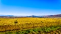 Landscape with the fertile farmlands along highway R26, in the Free State province of South Africa Royalty Free Stock Photo