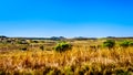 Landscape with the fertile farmlands along highway R26, in the Free State province of South Africa