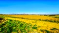 Landscape with the fertile farmlands along highway R26, in the Free State province of South Africa Royalty Free Stock Photo