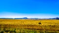 Landscape with the fertile farmlands along highway R26, in the Free State province of South Africa