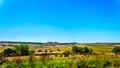 Landscape with the fertile farmlands along highway R26, in the Free State province of South Africa