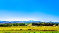 Landscape with the fertile farmlands along highway R26, in the Free State province of South Africa