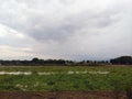 Landscape with field and blue sky