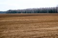 Landscape field, brown dug up land with beds, furrows for plowing, sowing grain against a background of a distant forest and a blu Royalty Free Stock Photo