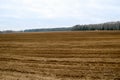 Landscape field, brown earth with beds, furrows for plowing with crops on the background of the forest Royalty Free Stock Photo