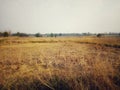 Landscape ,field ,farmland ,tree ,sky