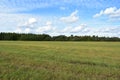 Landscape field of green grass. Forest areas. A flock of birds. blue sky Royalty Free Stock Photo
