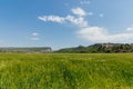 Beautiful landscape field of green wheat mountain and blue sky Royalty Free Stock Photo
