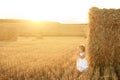 Landscape of a field with haystacks of straw at sunset with copy space.