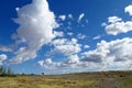 Landscape in field to the sky horizon Royalty Free Stock Photo