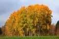 Landscape field trees autumn colors Royalty Free Stock Photo